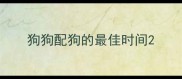 狗狗配狗的最佳时间