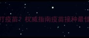 猫洗澡后多久能打疫苗权威指南疫苗接种最佳时机与注意事项