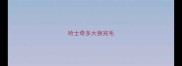 哈士奇多大换完毛