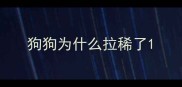狗狗为什么拉稀了