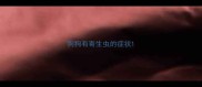 狗狗有寄生虫的症状