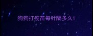 狗狗打疫苗每针隔多久