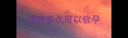 猫咪多久可以验孕