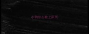 小狗怎么教上厕所