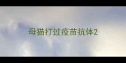 母猫打过疫苗抗体