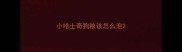 小哈士奇狗粮该怎么泡