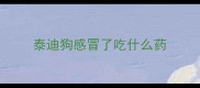 泰迪狗感冒了吃什么药