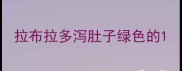 拉布拉多泻肚子绿色的