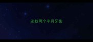 边牧两个半月牙齿