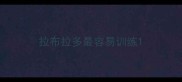 拉布拉多最容易训练