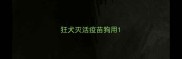 狂犬灭活疫苗狗用