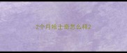 2个月哈士奇怎么样