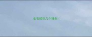 金毛能吃几个馒头