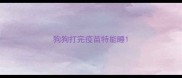 狗狗打完疫苗特能睡
