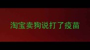 淘宝卖狗说打了疫苗