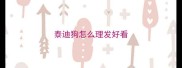 泰迪狗怎么理发好看