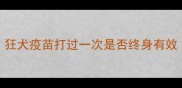 狂犬疫苗打过一次是否终身有效