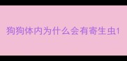 狗狗体内为什么会有寄生虫