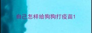 自己怎样给狗狗打疫苗