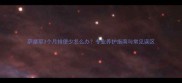 萨摩耶3个月排便少怎么办专业养护指南与常见误区