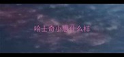哈士奇小崽什么样