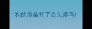狗的疫苗打了会头疼吗