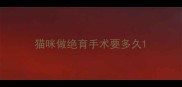 猫咪做绝育手术要多久
