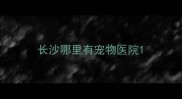 长沙哪里有宠物医院