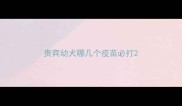 贵宾幼犬哪几个疫苗必打