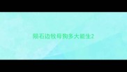 陨石边牧母狗多大能生