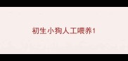 初生小狗人工喂养