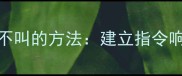 训练狗狗正确叫与不叫的方法建立指令响应与安静训练指南