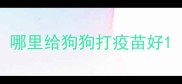 哪里给狗狗打疫苗好