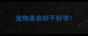 宠物美容好不好学