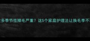 拉布拉多季节性掉毛严重这5个家庭护理法让换毛季不再狼狈