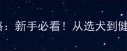 母拉布拉多养护全攻略新手必看从选犬到健康管理的保姆级指南