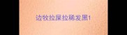 边牧拉屎拉稀发黑