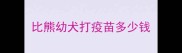 比熊幼犬打疫苗多少钱