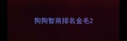 狗狗智商排名金毛