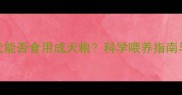 5个月大幼犬能否食用成犬粮科学喂养指南与过渡方案