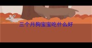 三个月狗宝宝吃什么好