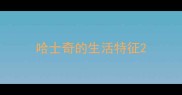 哈士奇的生活特征