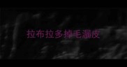 拉布拉多掉毛漏皮