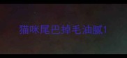 猫咪尾巴掉毛油腻