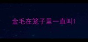 金毛在笼子里一直叫