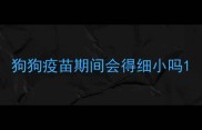 狗狗疫苗期间会得细小吗