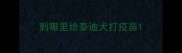 到哪里给泰迪犬打疫苗