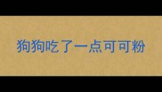 狗狗吃了一点可可粉