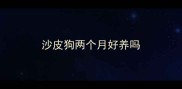沙皮狗两个月好养吗