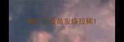 狗打了疫苗发烧拉稀
